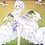 Brunhild