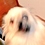 Takemoto