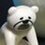 umimorip