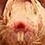 yuugen_Co_Ltd yuugen_Co_Ltd